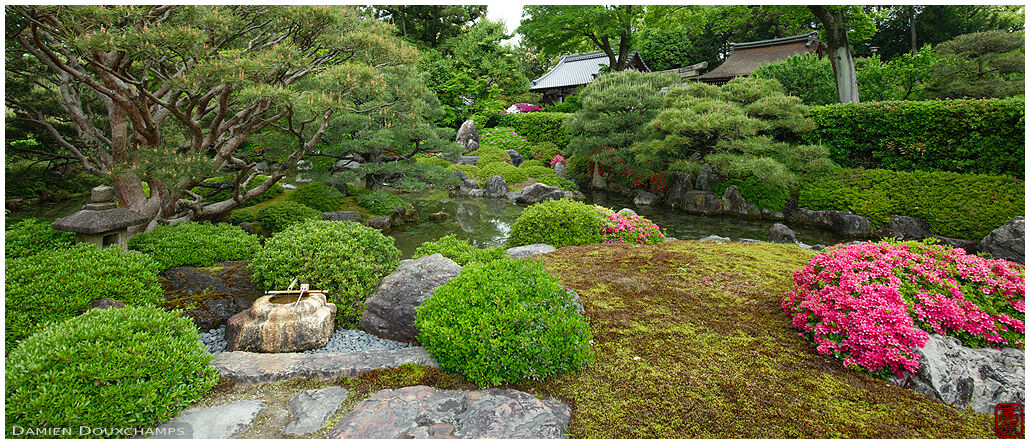 Tsukubai water basin traditionally placed at the entrance of Jonan-gu shrine tea house during statsuki rhododendrons blooming season, Kyoto, Japan