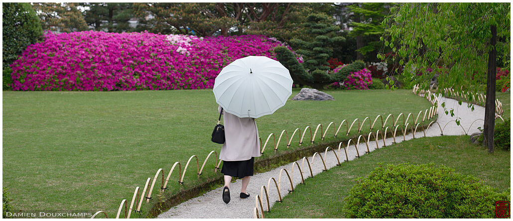 Lady with umbrella on winding path during azalea season in Jonangu shrine gardens, Kyoto, Japan
