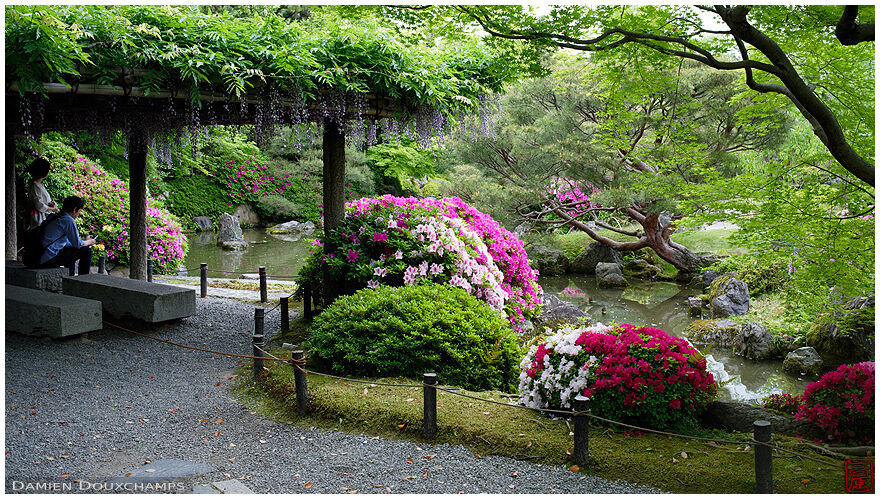 Jonan-gu shrine gardens, Kyoto