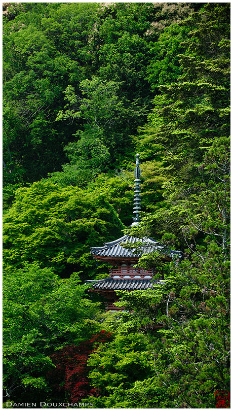 Mimuroto-ji temple pagoda, Kyoto
