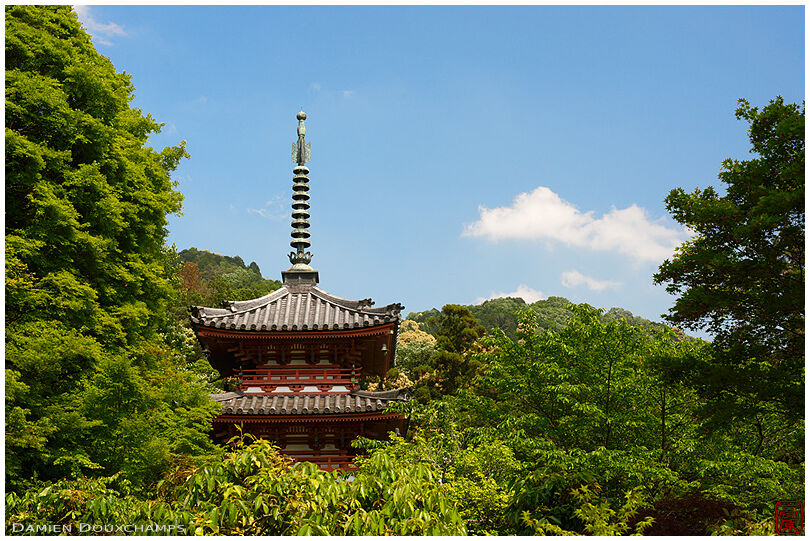 Mimuroto-ji temple pagoda, Kyoto