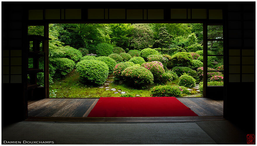 Early azalea season in Anraku-ji temple, Kyoto, Japan