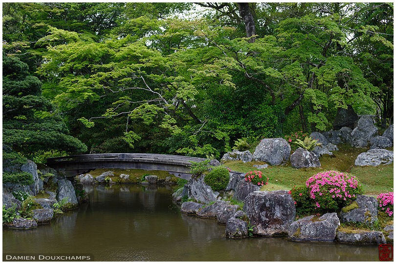 Wooden bridge in the pond garden of Sanpo-in temple, Kyoto, Japan