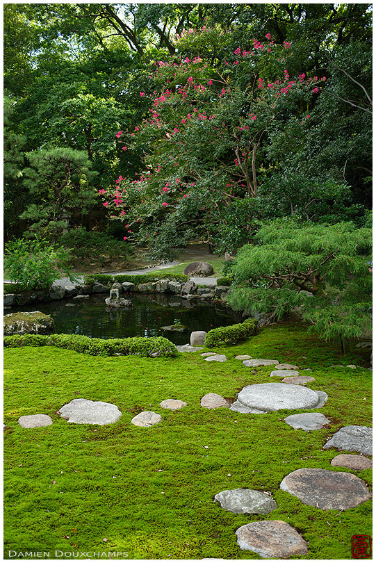 Sarusuberi blooming over stepping stones on moss garden, Mitsui villa, Kyoto, Japan