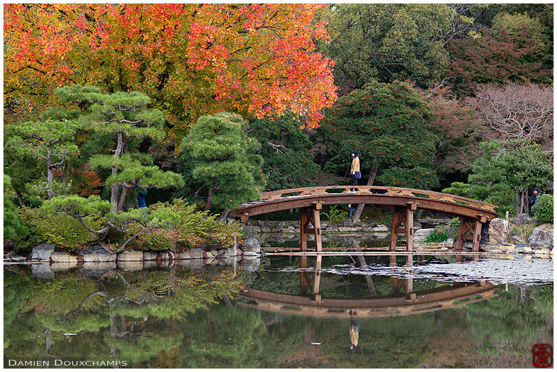 Visitor on new wooden bridge in Shosei-en garden, Kyoto, Japan