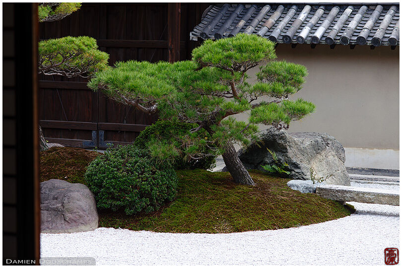 An island in the dry landscape garden of Kanchi-in temple, Kyoto, Japan