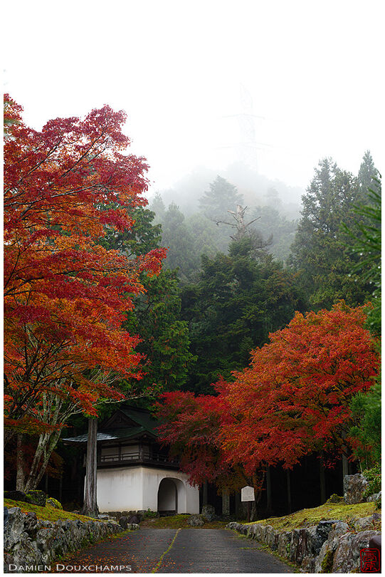 Fog descending on the entrance gate of Amidaji, a mountain temple in the north of Kyoto, Japan