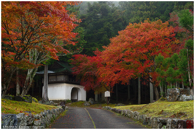 The entrance gate of Amida-ji temple in autumn, Ohara valley, Kyoto, Japan