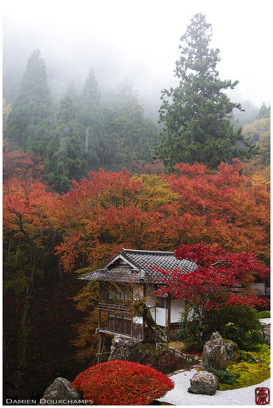 Japanese garden in the clouds: autumn in Amidaji temple, Ohara, Japan