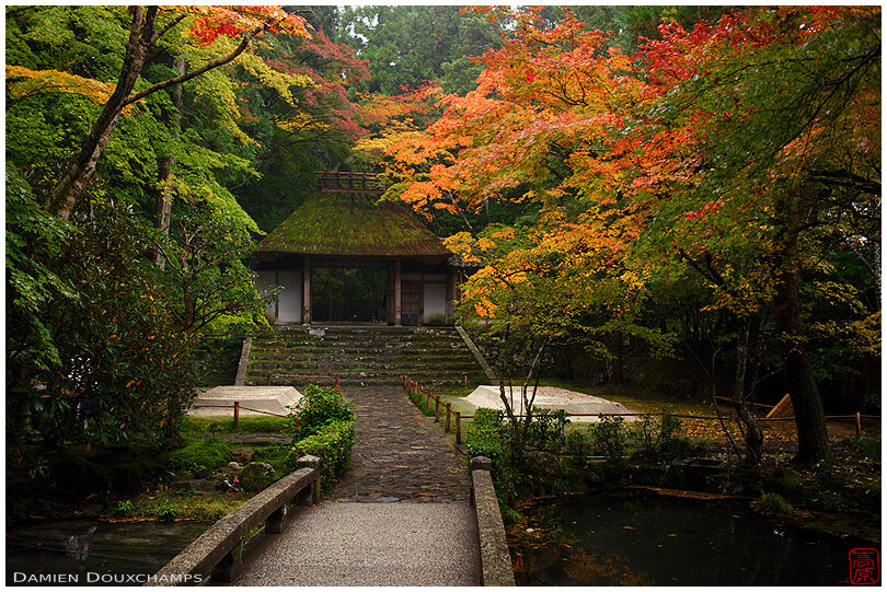 The mossy thatched gate of Honen-in temple in autumn, Kyoto, Japan