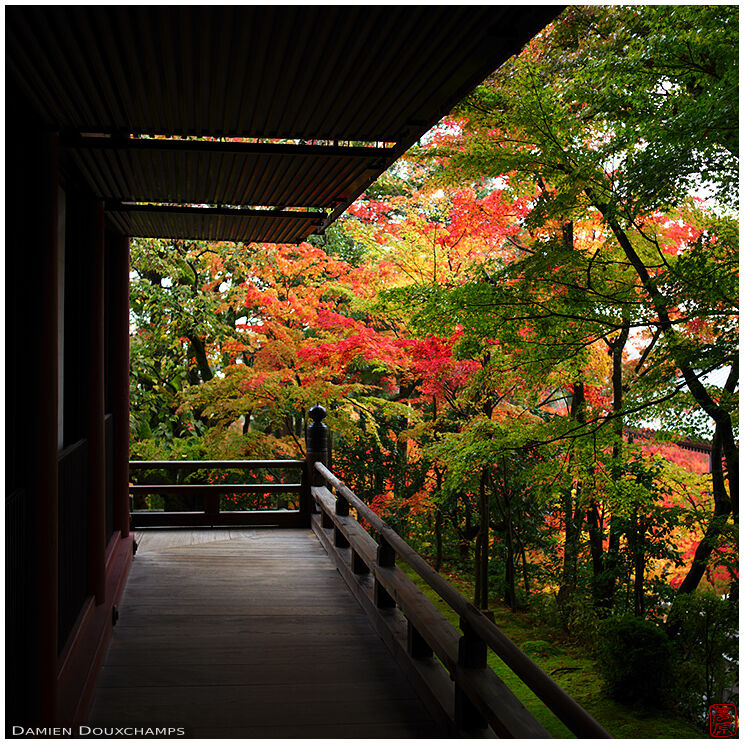 Temple terrace and autumn colours, Eikan-do, Kyoto, Japan