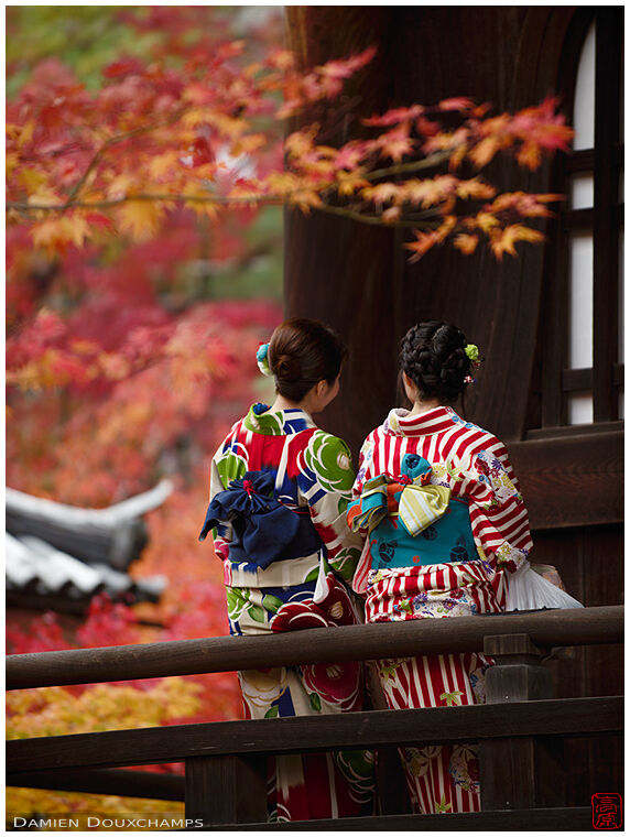 Two young ladies in kimono during autumn, Eikan-do temple, Kyoto, Japan