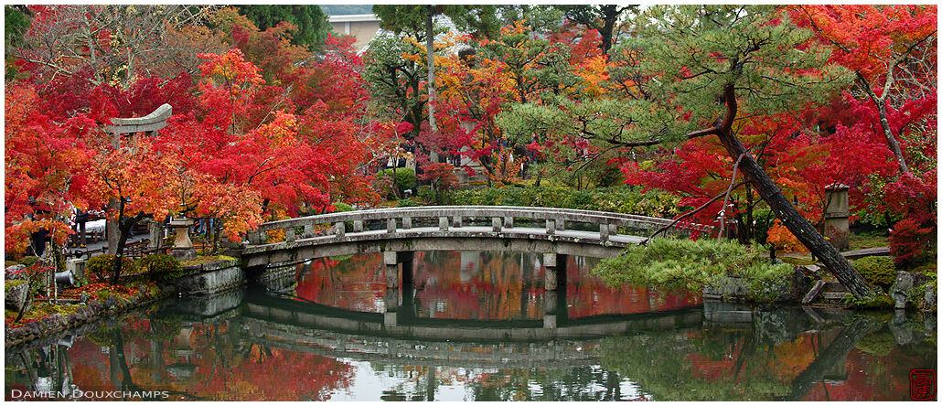 Stone bridge and stone torii gate engulfed in fiery autumn colours, Eikan-do temple, Kyoto, Japan