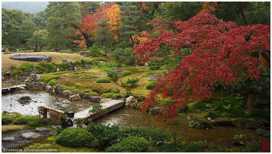 Autumn colors on a rainy day in the Murin-an gardens, Kyoto, Japan