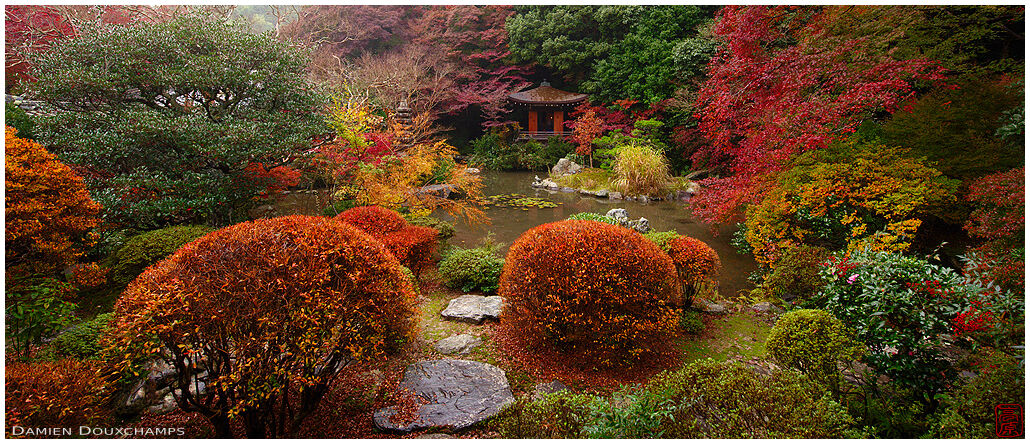 Feast of autumn colours around the pond of Bishamon-do temple, Kyoto, Japan