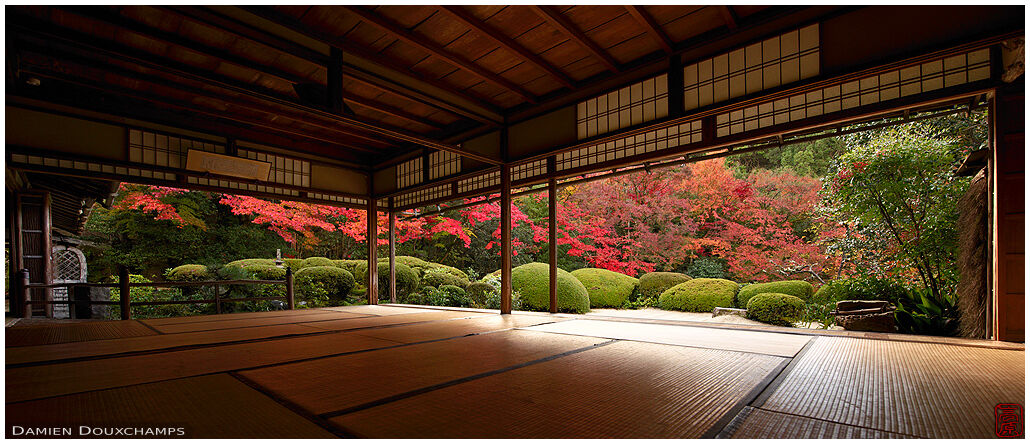 Magnificent autumn colours surrounding the main hall of Shisendo temple, Kyoto, Japan
