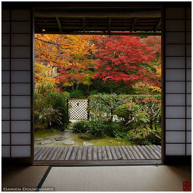 Autumn colors from the small separate garden pavilion of Shisen-do temple, Kyoto, Japan