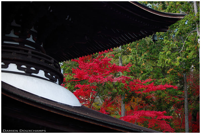 Pagoda and red maple foliage, Ishiyama-dera, Shiga, Japan
