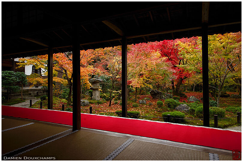 Perfect autumn colours admired from the main hall of Enko-ji temple, Kyoto, Japan