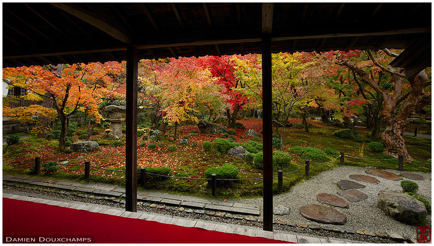The amazing autumn colours of Enko-ji temple, Kyoto, Japan