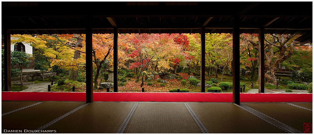 Magnificent autumn colours fro the main hall of Enko-ji temple, Kyoto, Japan