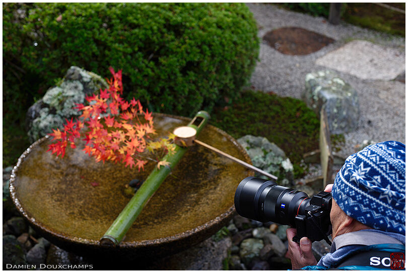Taking pictures of a large tsukubai water basin with autumnal decorations in Enko-ji temple, Kyoto, Japan