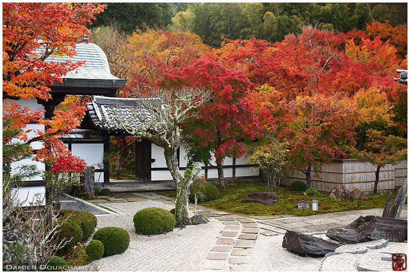 Entrance of Enko-ji temple garden in autumn, Kyoto, Japan