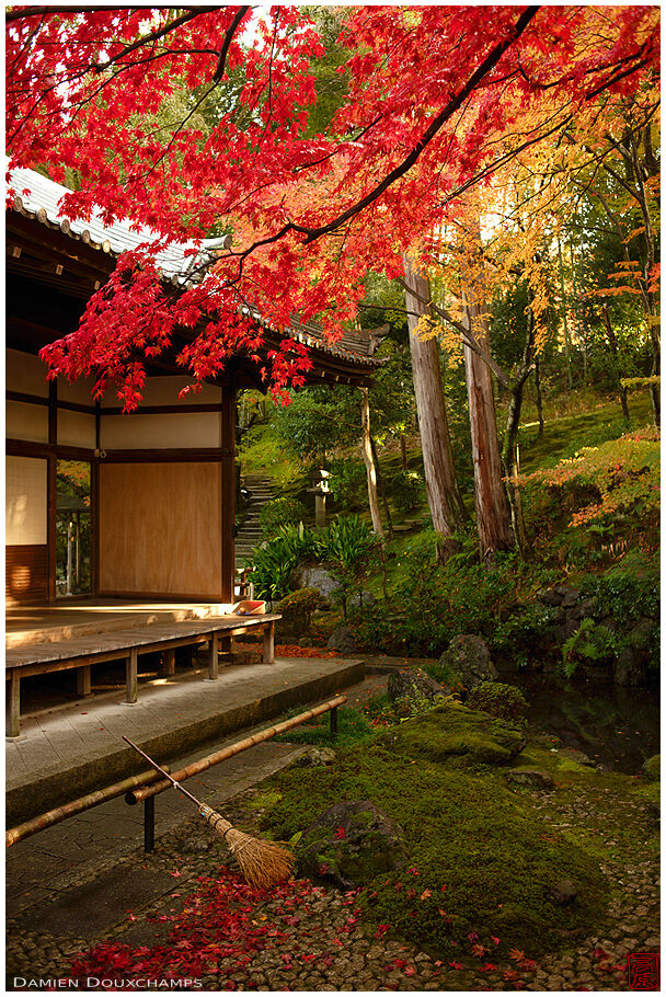 Broom for clearing moss of fallen autumn leaves in Eisho-in temple, Kyoto, Japan