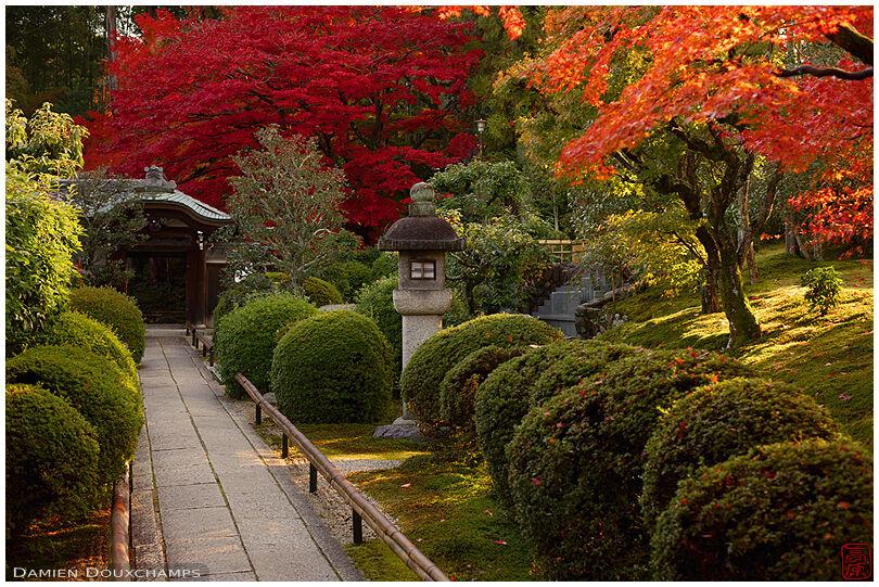 Entrance path of Eisho-in temple in autumn, Kyoto, Japan