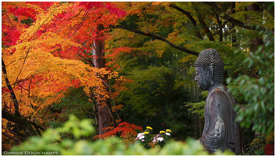 Buddha statue among autumn colours, Eisho-in temple, Kyoto, Japan
