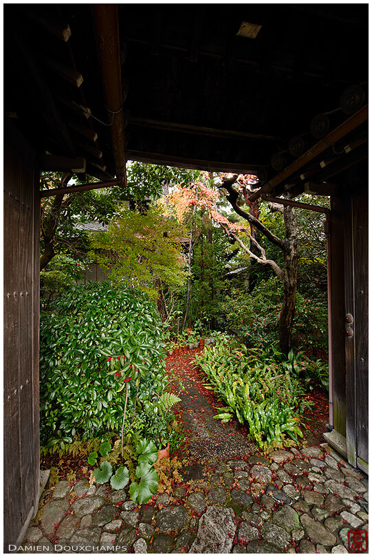 Entrance of a derelict temple, Kyoto, Japan