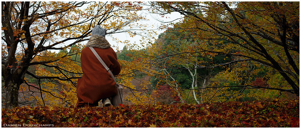 Late autumn visitor in Ishimichi-dera temple, Shiga, Japan