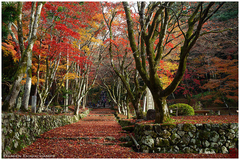 Autumn colours around the entrance path to Keisoku-ji temple, Shiga, Japan