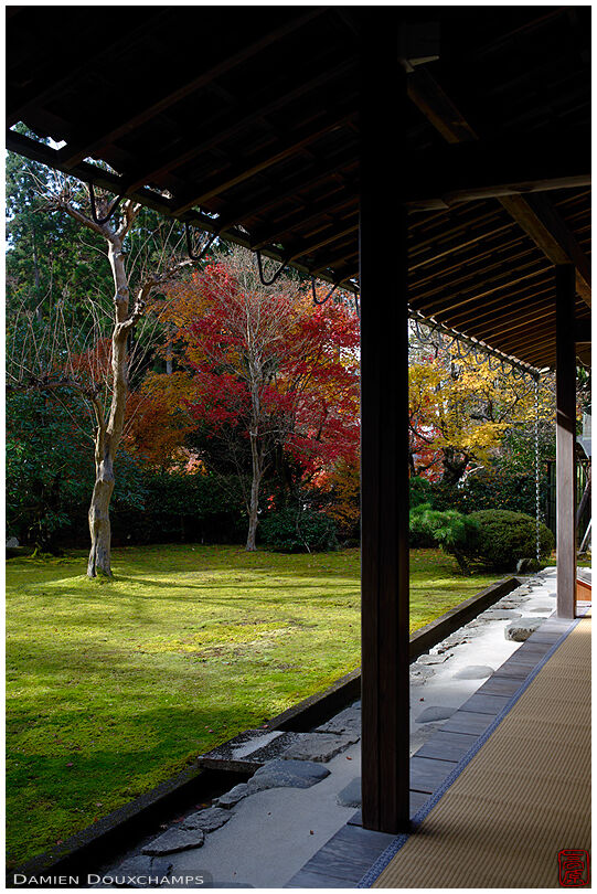 Quiet and clean moss garden of Omikoho-an temple, Shiga, Japan