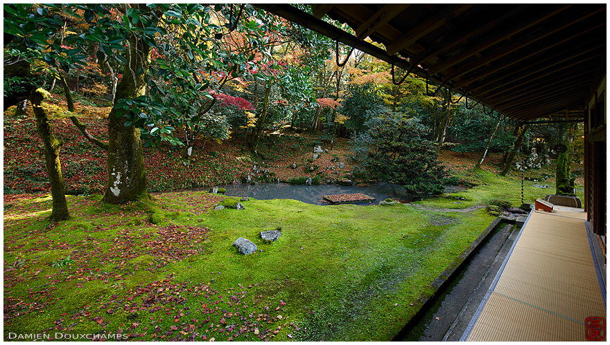 Tranquil moss garden in Omikoho-an, Shiga, Japan