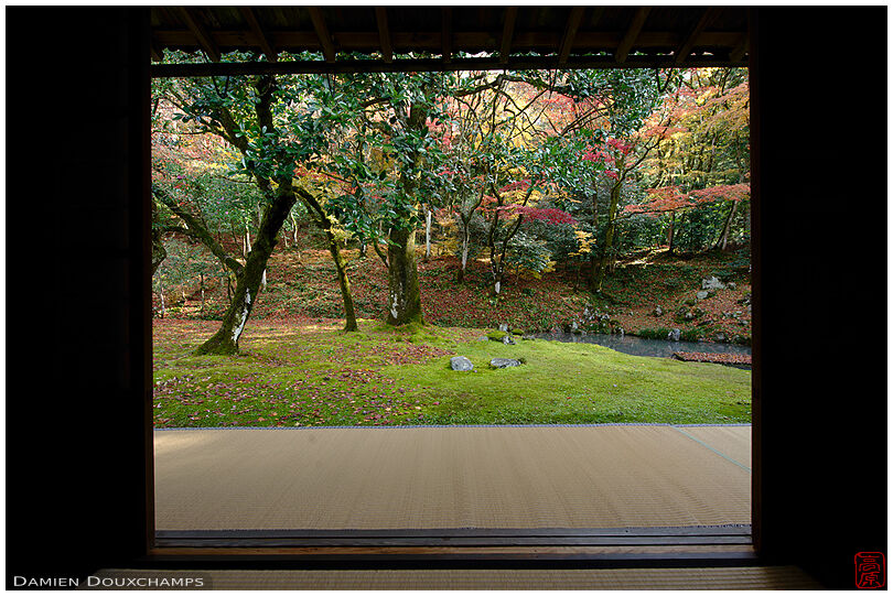 Moss garden and autumn colors in Omikohō-an, Shiga, Japan