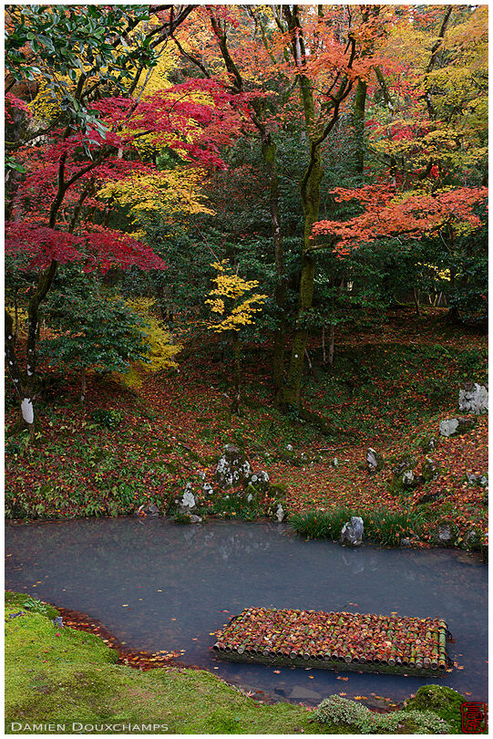 Autumn colours around a small pond of Omikoho-an, Shiga, Japan