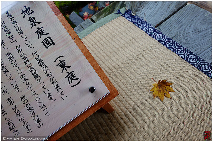 Lone fallen maple leaf on the tatami of Omikoho-an temple, Shiga, Japan