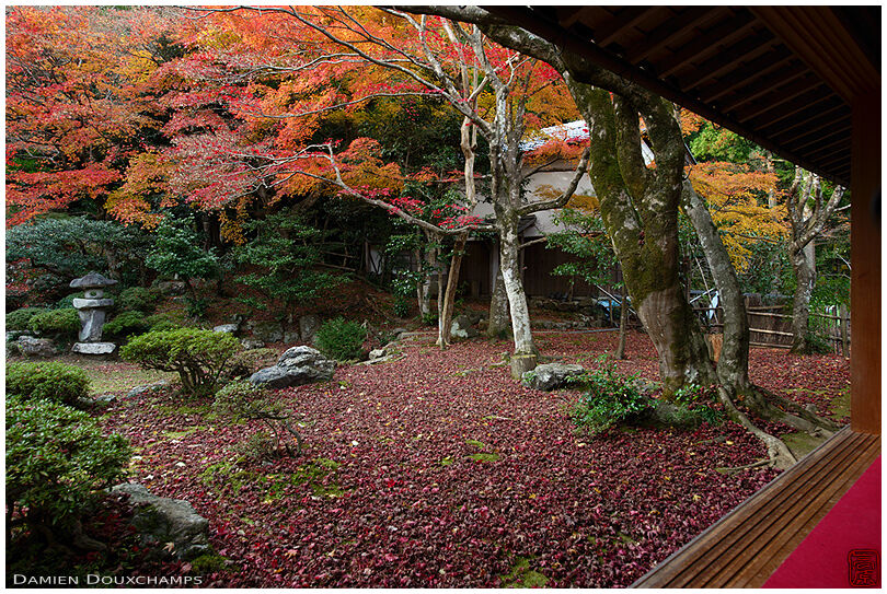 Stone lantern in late autumn garden, Tokugen-in temple, Shiga, Japan