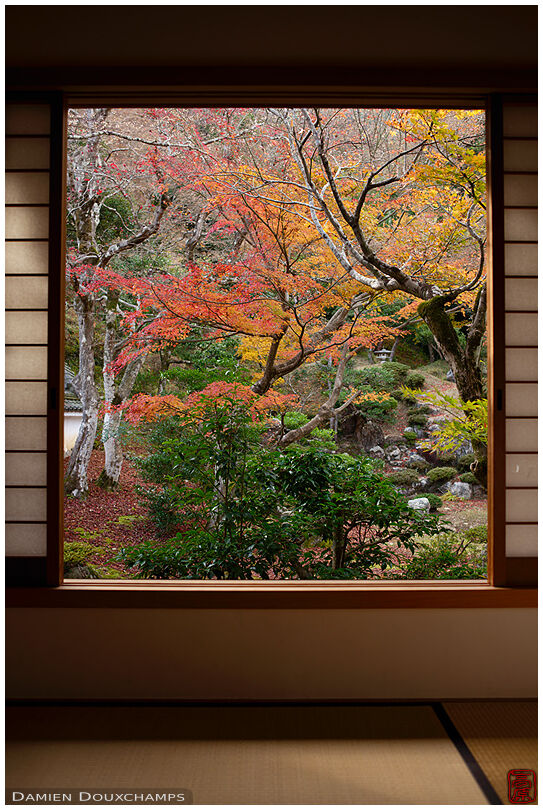 Window on autumn garden, Tokugen-in temple, Shiga, Japan