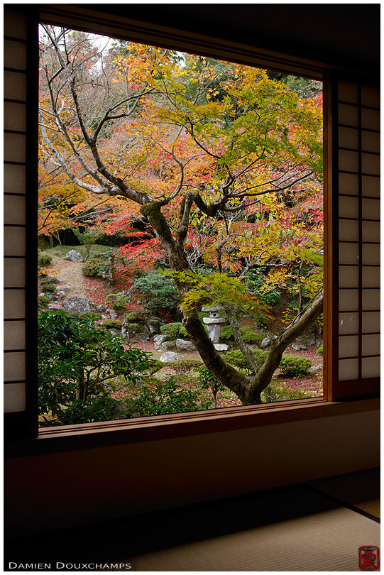 Japanese room with view on autumn garden, Tokugen-in temple, Kyoto, Japan