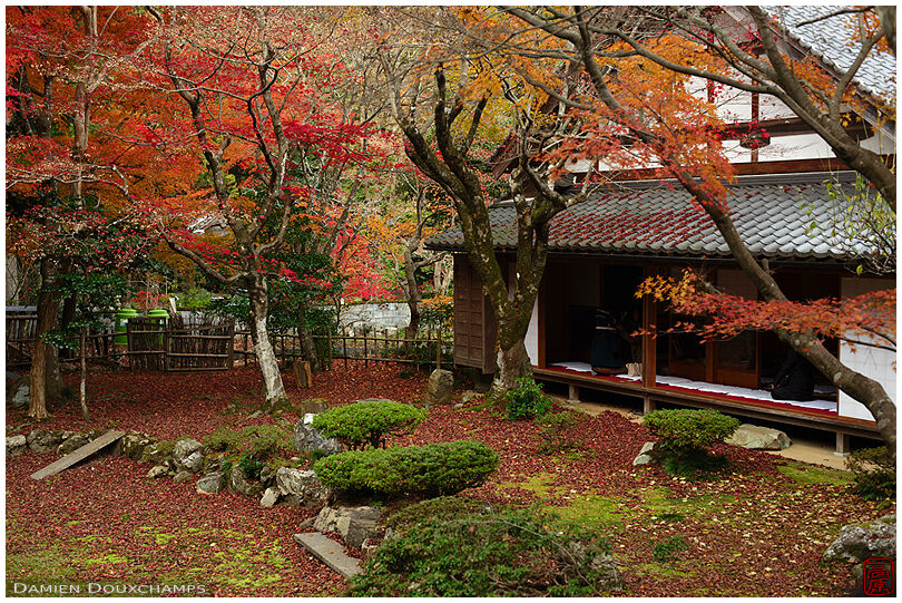 Late autumn garden, Tokugen-in temple, Shiga, Japan