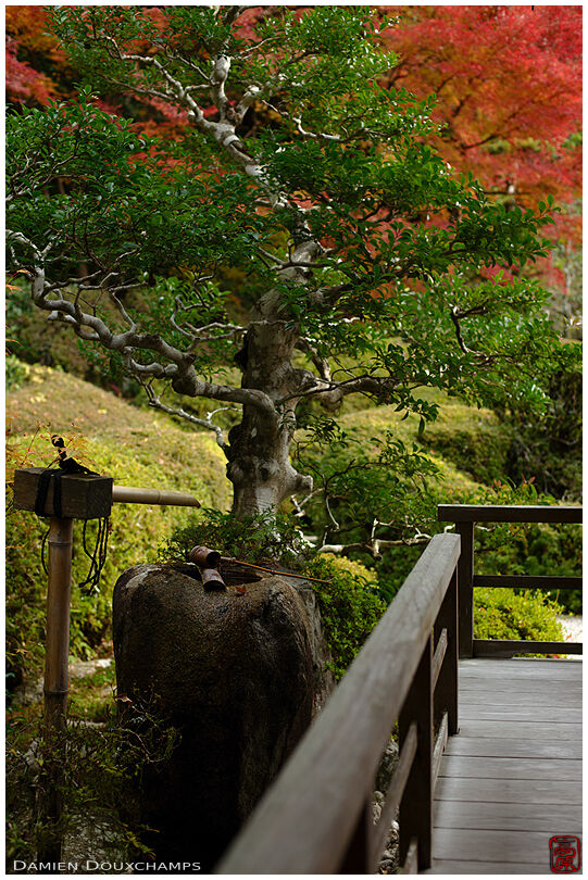 Tsukubai water basin on the corner of Daichi-ji rock and azalea garden, Shiga, Japan