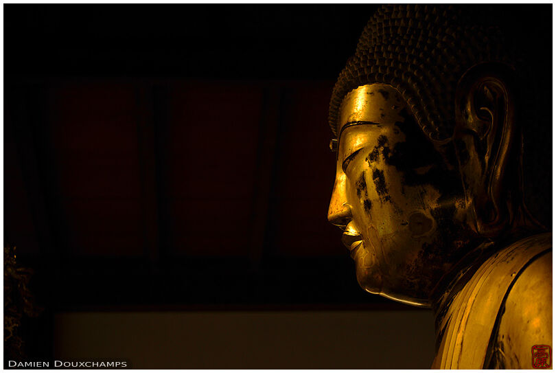 Golden Buddha statue, Daichi-ji temple, Shiga, Japan