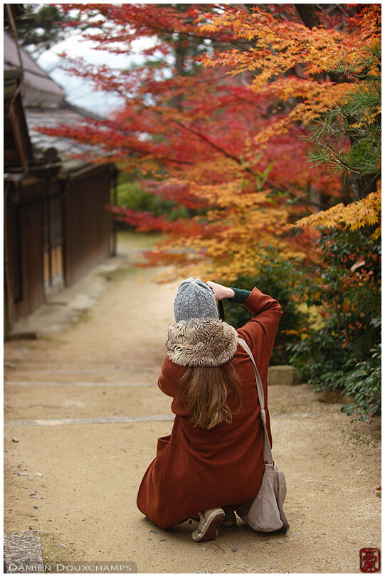 Woman with brown coat kneeling to photograph autumn colours, Zensui-ji temple, Shiga, Japan