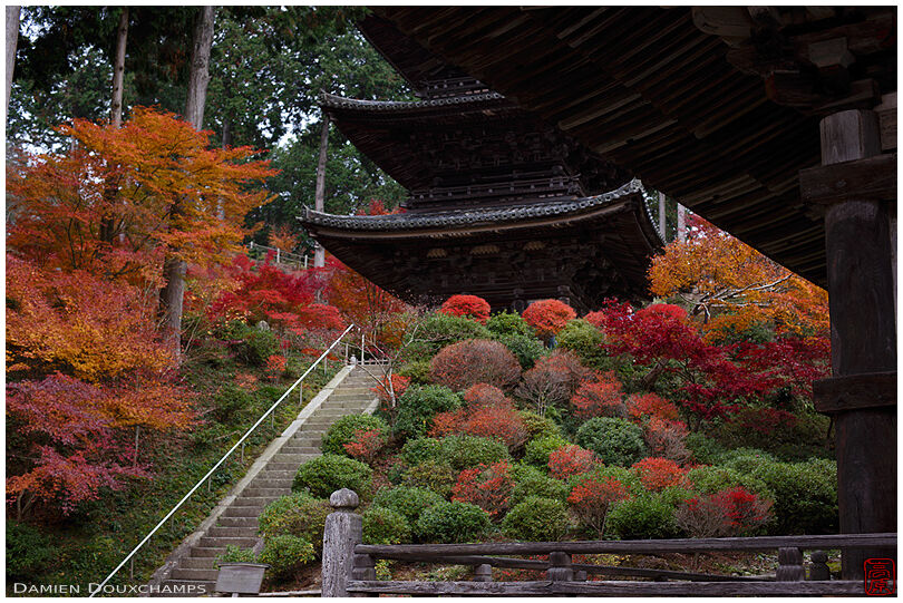Autumn colours around stairs climbing towards pagoda in Joraku-ji temple, Kyoto, Japan