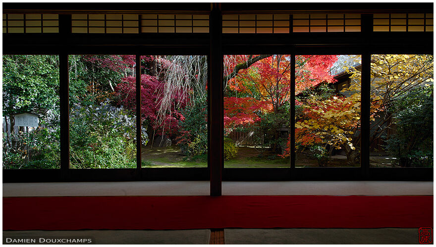 Room with view on colorful autumnal garden, Taizo-in temple, Kyoto, Japan