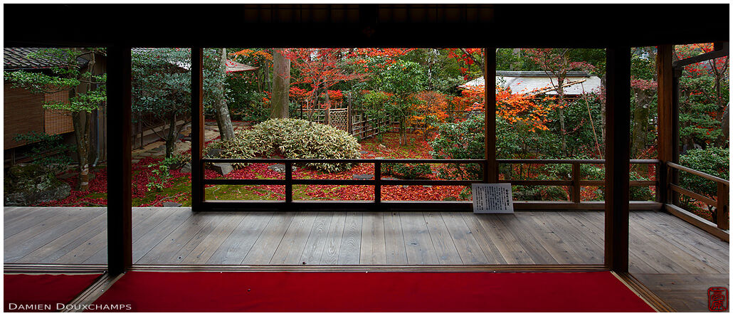 Temple hall and its autumnal garden, Daiho-in, Kyoto, Japan