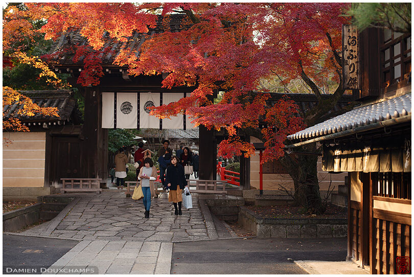 Imamiya shrine southern entrance gate and its old traditional shops during autumn, Kyoto, Japan