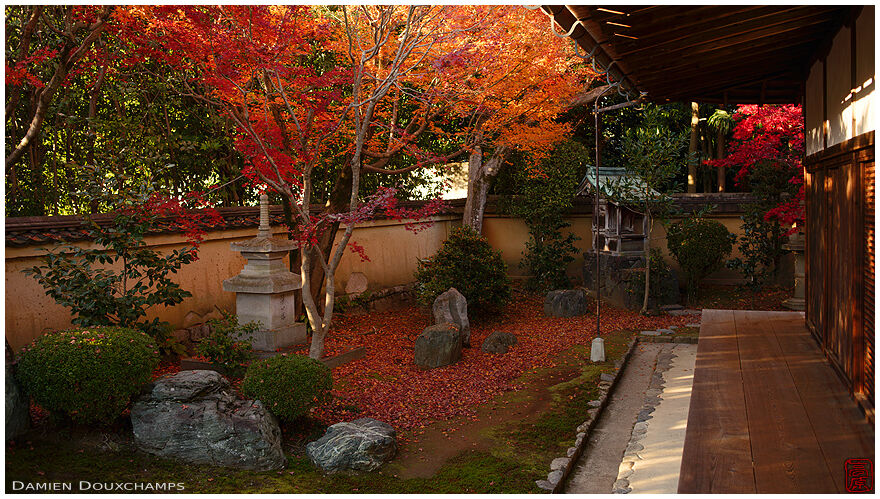 Fallen autumn leaves in the garden of Korin-in temple, Kyoto, Japan